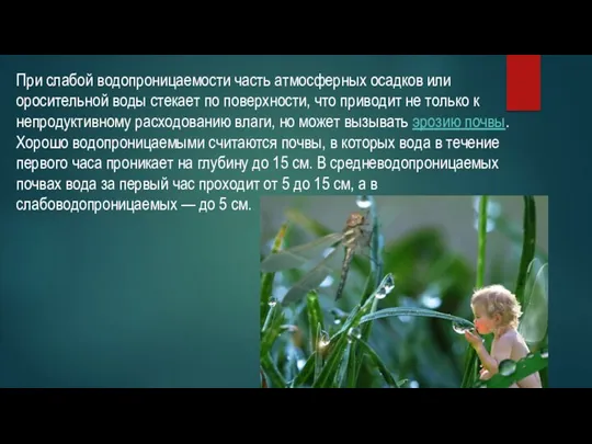 При слабой водопроницаемости часть атмосферных осадков или оросительной воды стекает