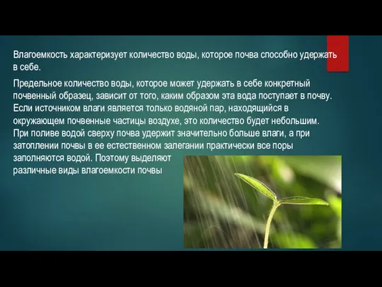 Влагоемкость характеризует количество воды, которое почва способно удержать в себе.