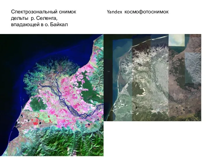 Спектрозональный снимок дельты р. Селенга, впадающей в о. Байкал Yandex космофотоснимок
