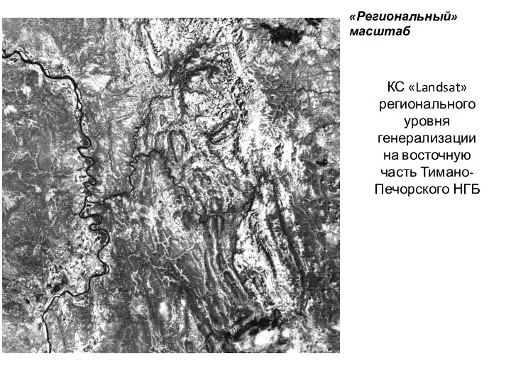 КС «Landsat» регионального уровня генерализации на восточную часть Тимано-Печорского НГБ «Региональный» масштаб