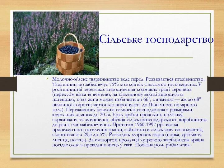 Сільське господарство Молочно-м'ясне тваринництво веде перед. Розвивається птахівництво. Тваринництво забезпечує