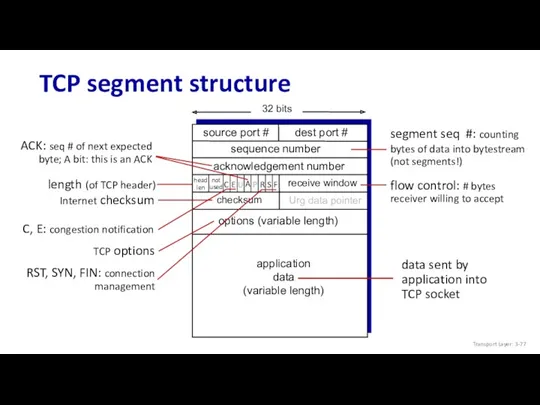 TCP segment structure not used Transport Layer: 3-