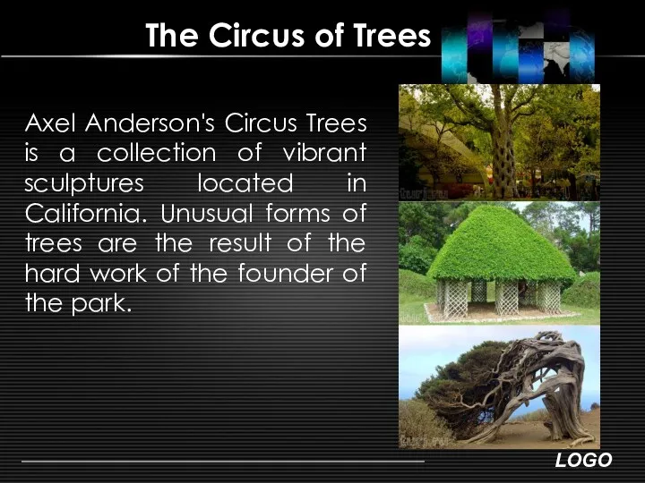 The Circus of Trees Axel Anderson's Circus Trees is a