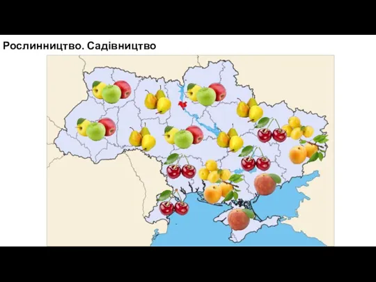 Рослинництво. Садівництво