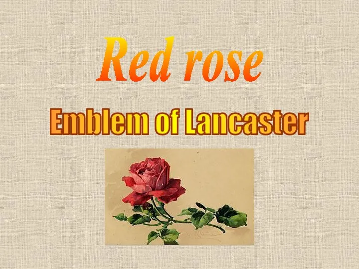 Red rose Emblem of Lancaster