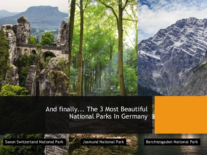 And finally... The 3 Most Beautiful National Parks In Germany