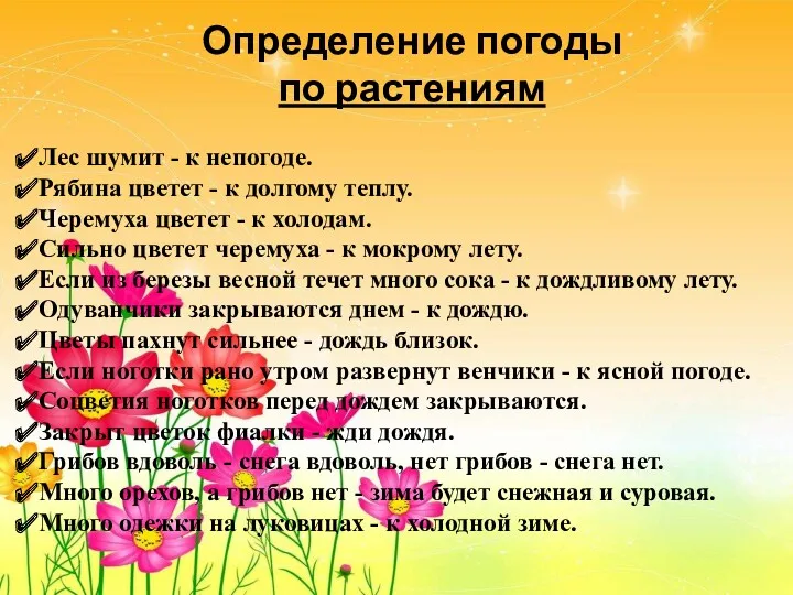 Определение погоды по растениям Лес шумит - к непогоде. Рябина