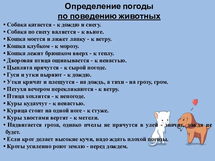 Определение погоды по поведению животных Собака катается - к дождю