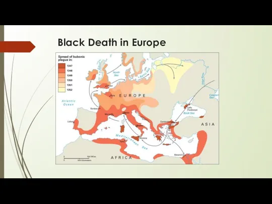 Black Death in Europe