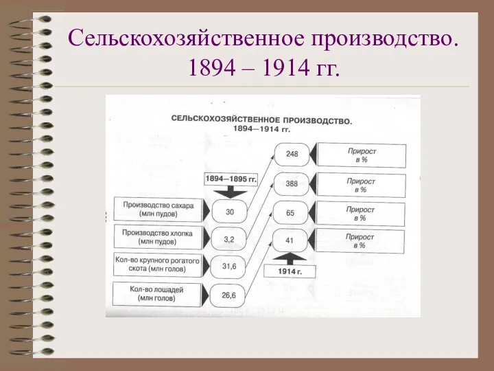 Сельскохозяйственное производство. 1894 – 1914 гг.