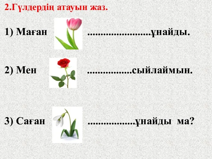 2.Гүлдердің атауын жаз. 1) Маған ........................ұнайды. 2) Мен .................сыйлаймын. 3) Саған ..................ұнайды ма?