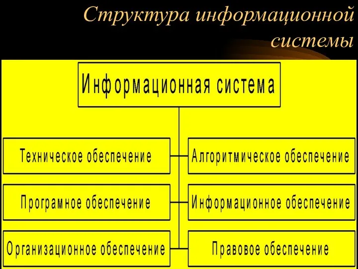 Структура информационной системы