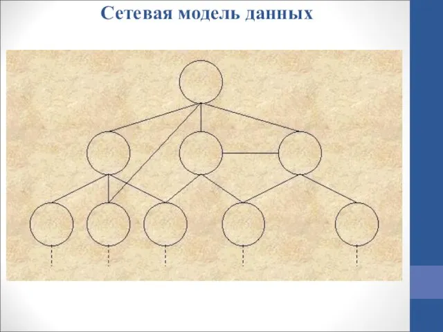 Сетевая модель данных