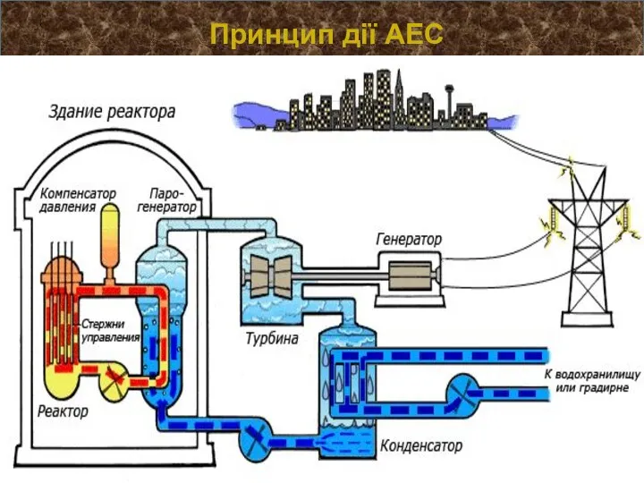 Ядерна енергетика: ЗА чи ПРОТИ Принцип дії АЕС