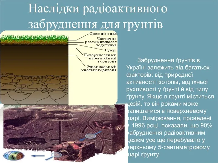 Наслідки радіоактивного забруднення для ґрунтів Забруднення ґрунтів в Україні залежить