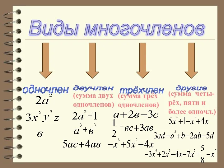 Виды многочленов одночлен двучлен трёхчлен другие (сумма двух одночленов) (сумма