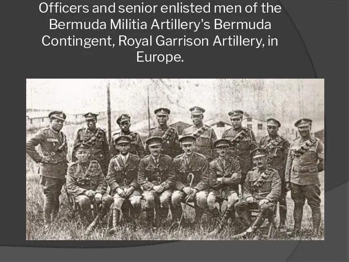Officers and senior enlisted men of the Bermuda Militia Artillery's