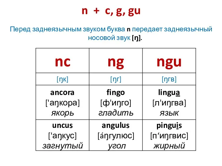 n + c, g, gu Перед заднеязычным звуком буква n передает заднеязычный носовой звук [ŋ].