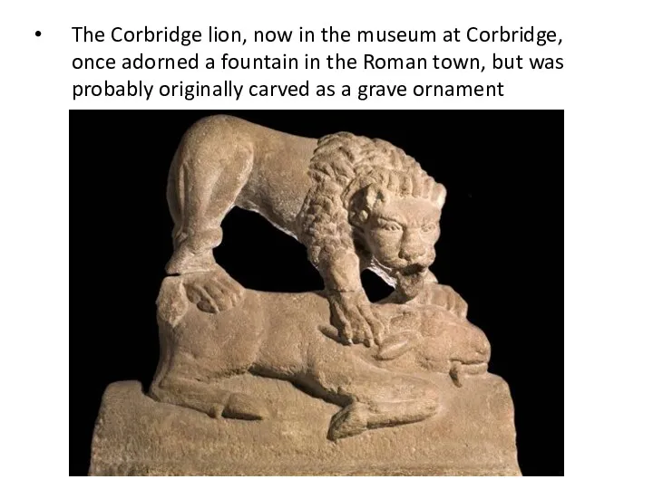 The Corbridge lion, now in the museum at Corbridge, once