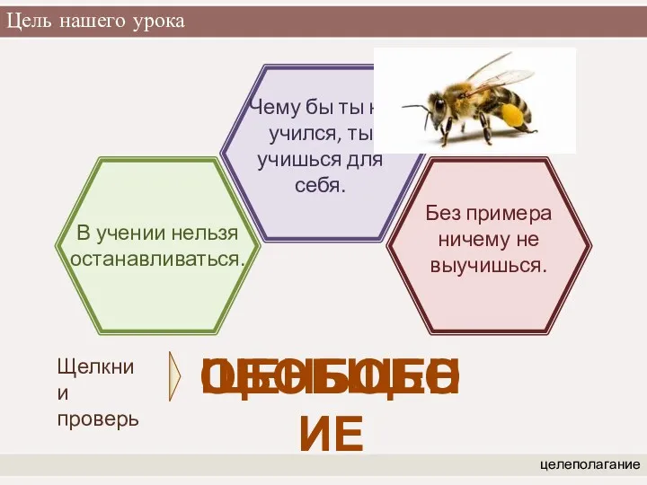 Цель нашего урока целеполагание В учении нельзя останавливаться. Чему бы