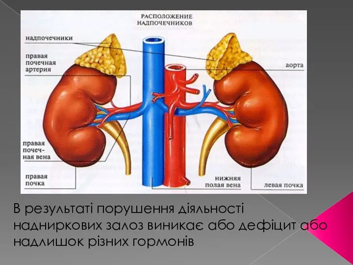 В результаті порушення діяльності надниркових залоз виникає або дефіцит або надлишок різних гормонів