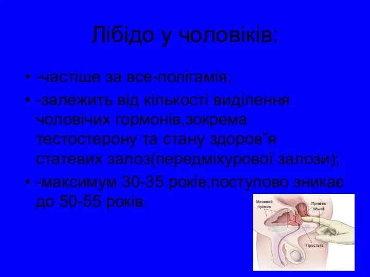 Лібідо у чоловіків: -частіше за все-полігамія; -залежить від кількості виділення