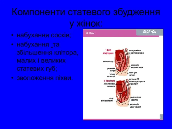 Компоненти статевого збудження у жінок: набухання сосків; набухання та збільшення