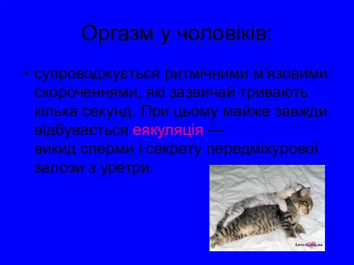 Оргазм у чоловіків: супроводжується ритмічними м'язовими скороченнями, які зазвичай тривають