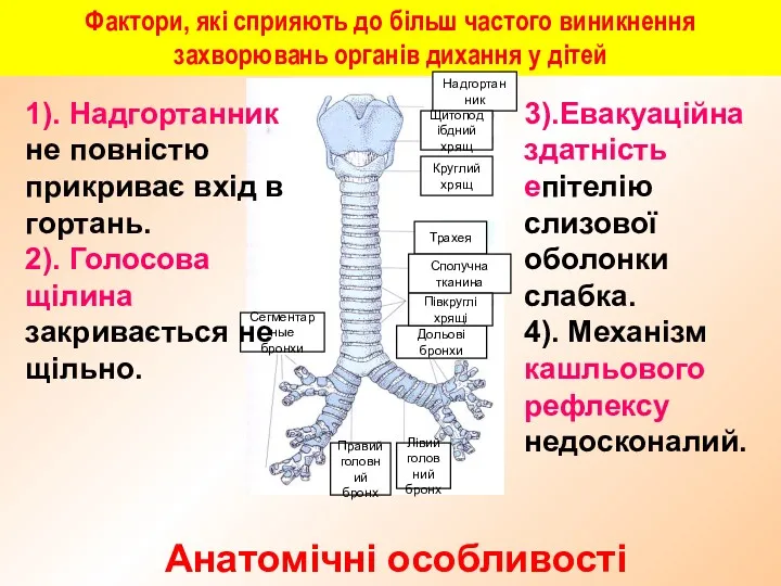 Фактори, які сприяють до більш частого виникнення захворювань органів дихання