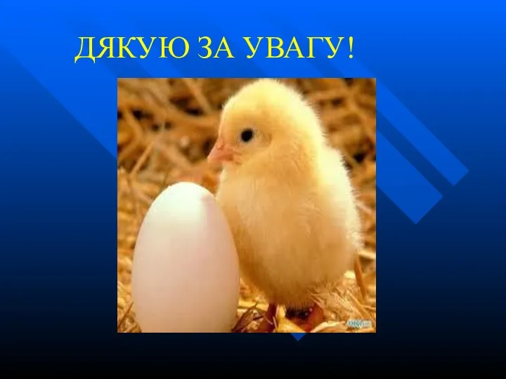 ДЯКУЮ ЗА УВАГУ!