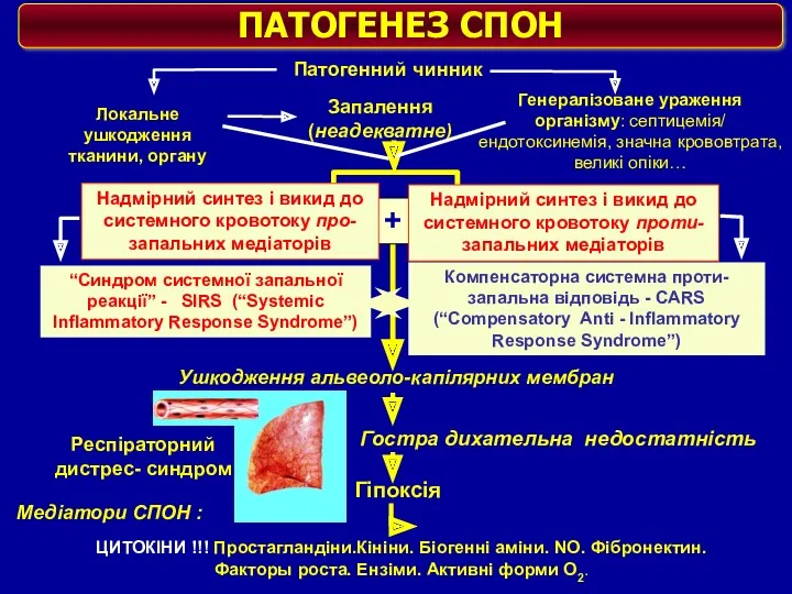 + Патогенний чинник Генералізоване ураження організму: септицемія/ ендотоксинемія, значна крововтрата, великі опіки… “Синдром