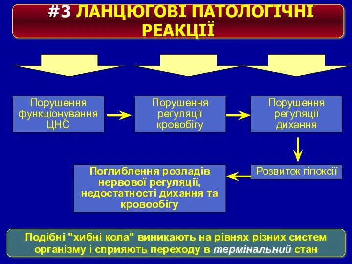 #3 ЛАНЦЮГОВІ ПАТОЛОГІЧНІ РЕАКЦІЇ Порушення функціонування ЦНС Порушення регуляції кровобігу Порушення регуляції дихання