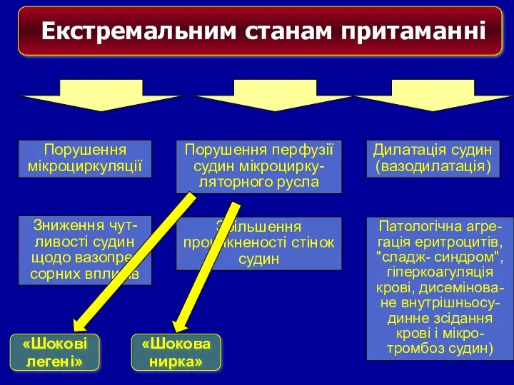 Екстремальним станам притаманні Порушення мікроциркуляції Порушення перфузії судин мікроцирку-ляторного русла Дилатація судин (вазодилатація)