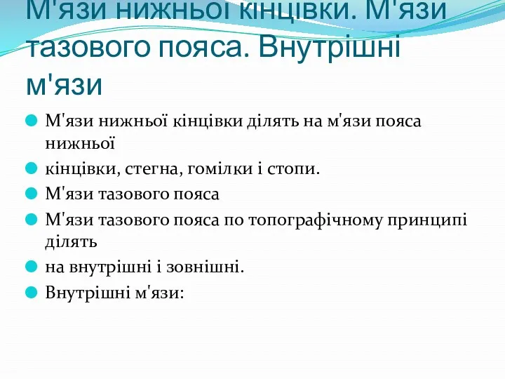 М'язи нижньої кінцівки. М'язи тазового пояса. Внутрішні м'язи М'язи нижньої