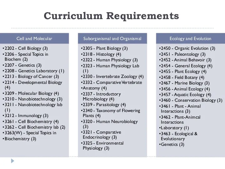 Curriculum Requirements