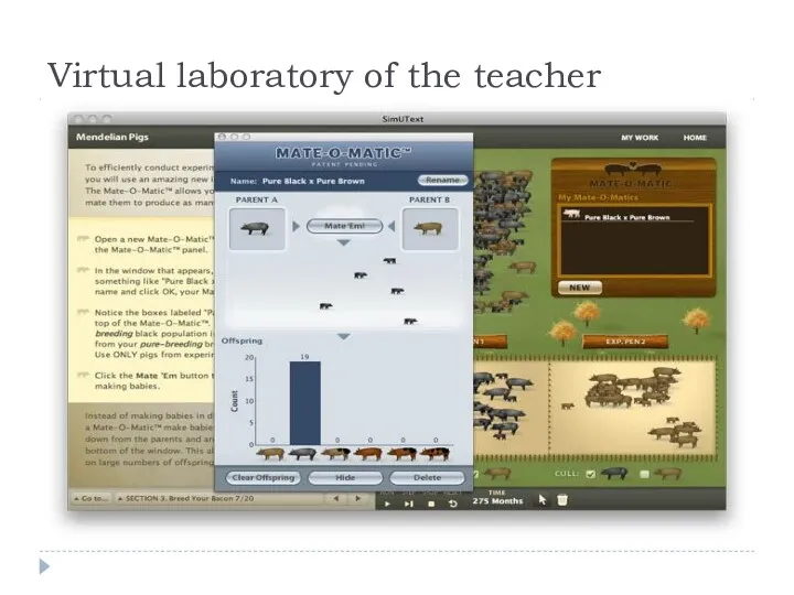 Virtual laboratory of the teacher