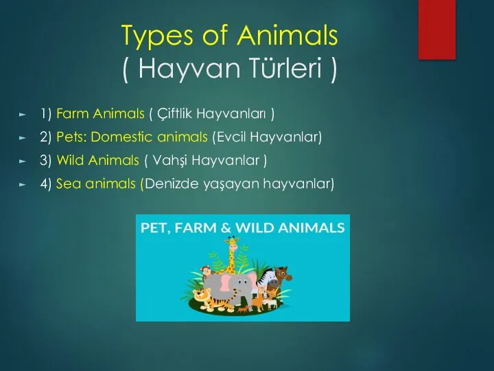 Types of Animals ( Hayvan Türleri ) 1) Farm Animals ( Çiftlik Hayvanları