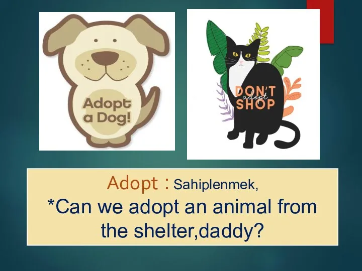 Adopt : Sahiplenmek, *Can we adopt an animal from the shelter,daddy?