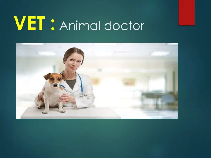 VET : Animal doctor