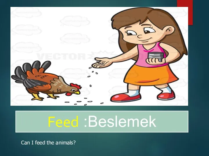 Feed :Beslemek Can I feed the animals?