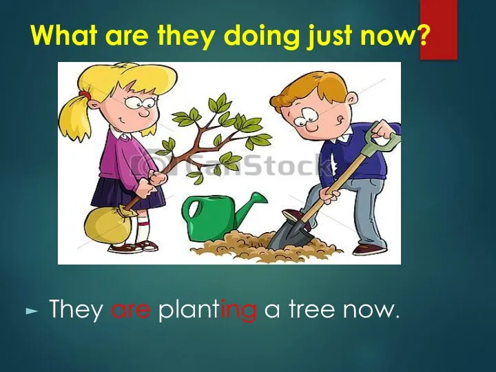 What are they doing just now? They are planting a tree now.