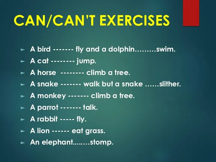 CAN/CAN’T EXERCISES A bird ------- fly and a dolphin………swim. A cat -------- jump.