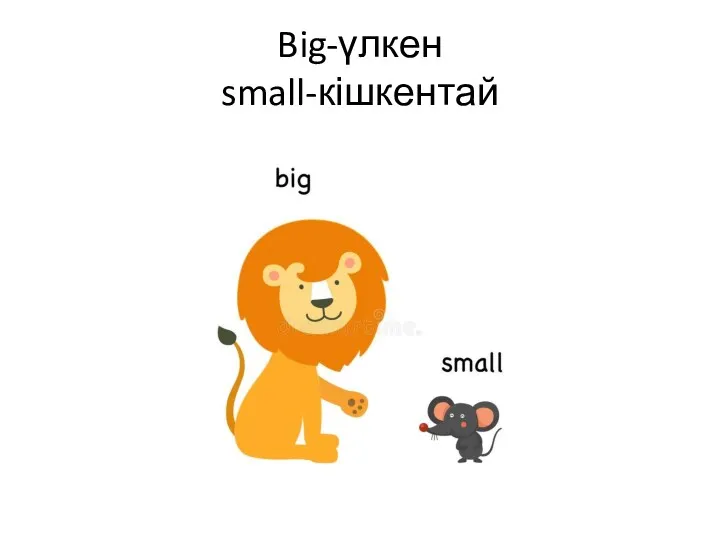 Big-үлкен small-кішкентай