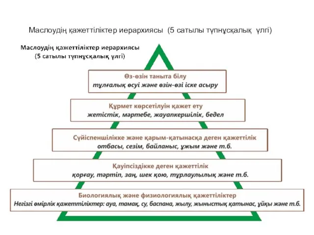 Маслоудің қажеттіліктер иерархиясы (5 сатылы түпнұсқалық үлгі)