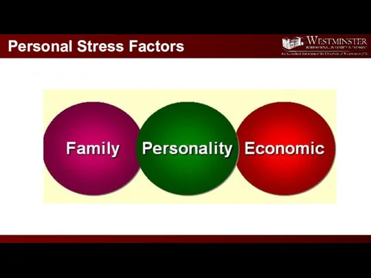 Personal Stress Factors