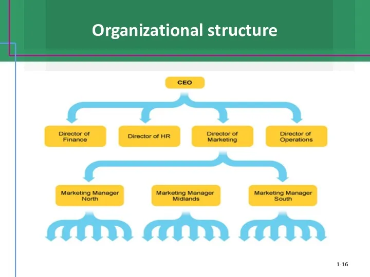 Organizational structure 1-