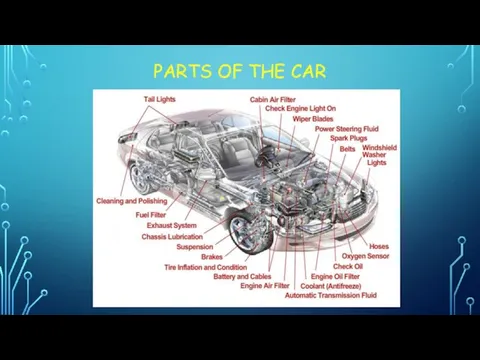 PARTS OF THE CAR