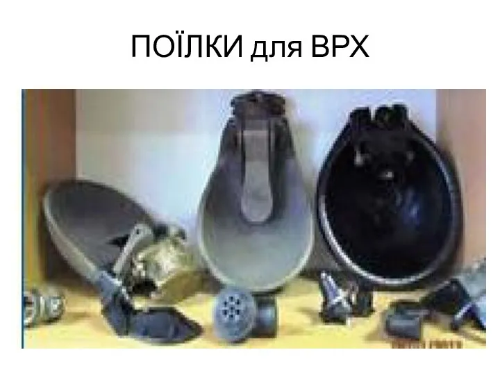 ПОЇЛКИ для ВРХ