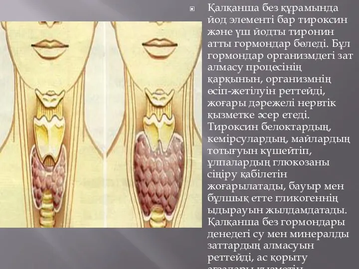 Қалқанша без құрамында йод элементі бар тироксин және үш йодты