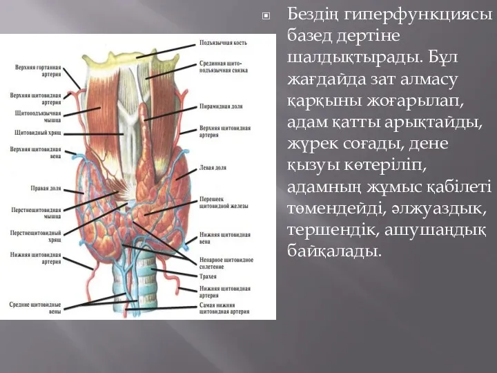 Бездің гиперфункциясы базед дертіне шалдықтырады. Бұл жағдайда зат алмасу қарқыны жоғарылап, адам қатты